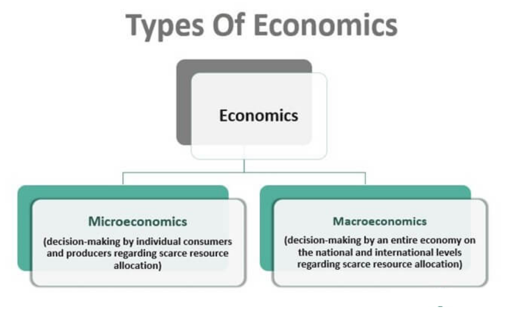 انواع اقتصاد