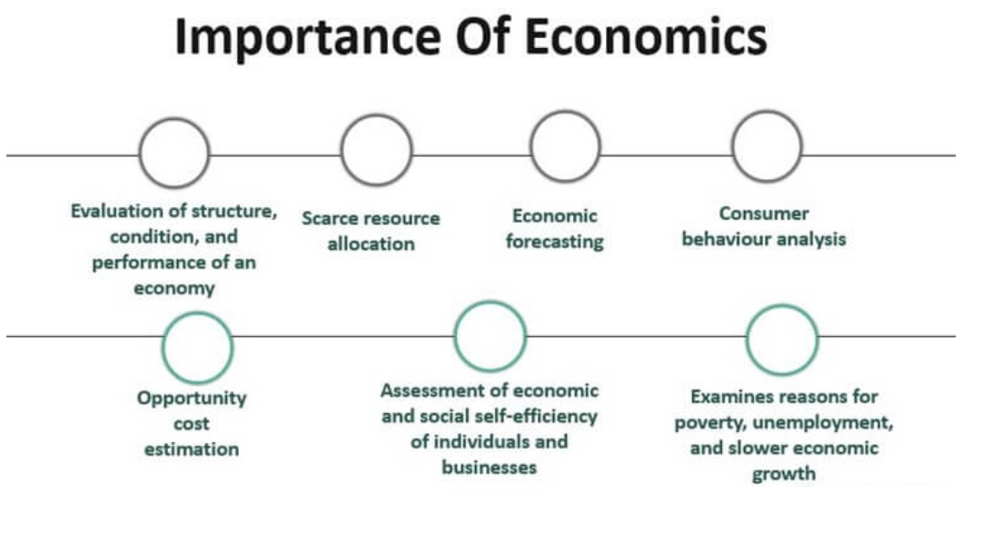 اهمیت اقتصاد